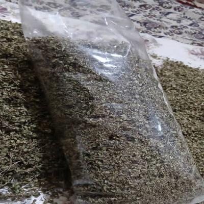 آویشن کوهی