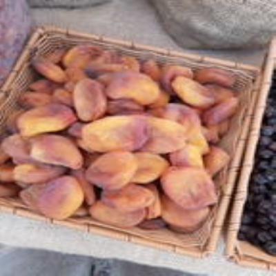 قیصی آفتابی
