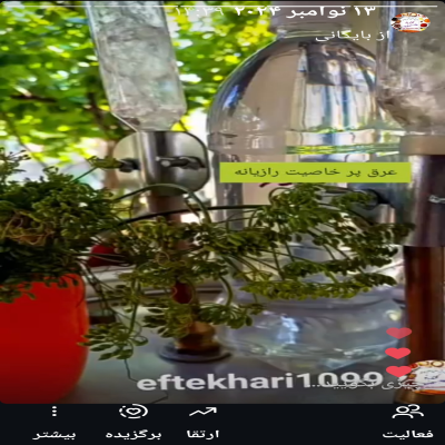 عرق رازیانه