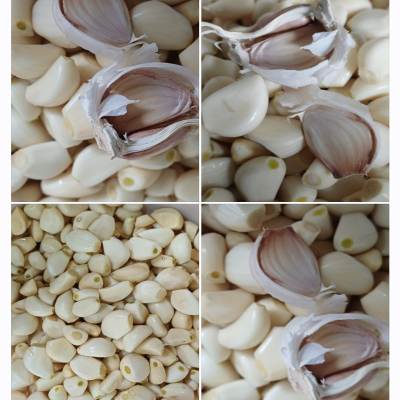 پودر سیر خانگی