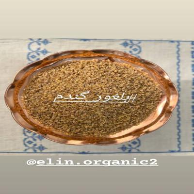 بلغور