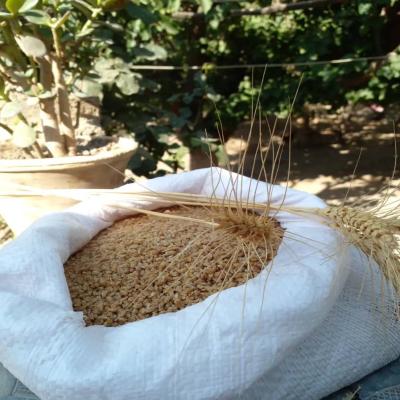 بلغور گندم 