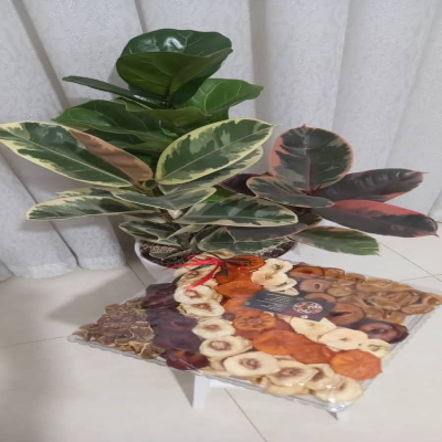 سینی هدیه پذیرائی میوه خشک