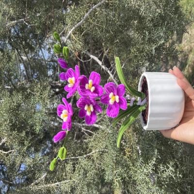 گل ارکیده