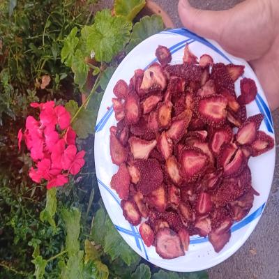 میوه  خشک